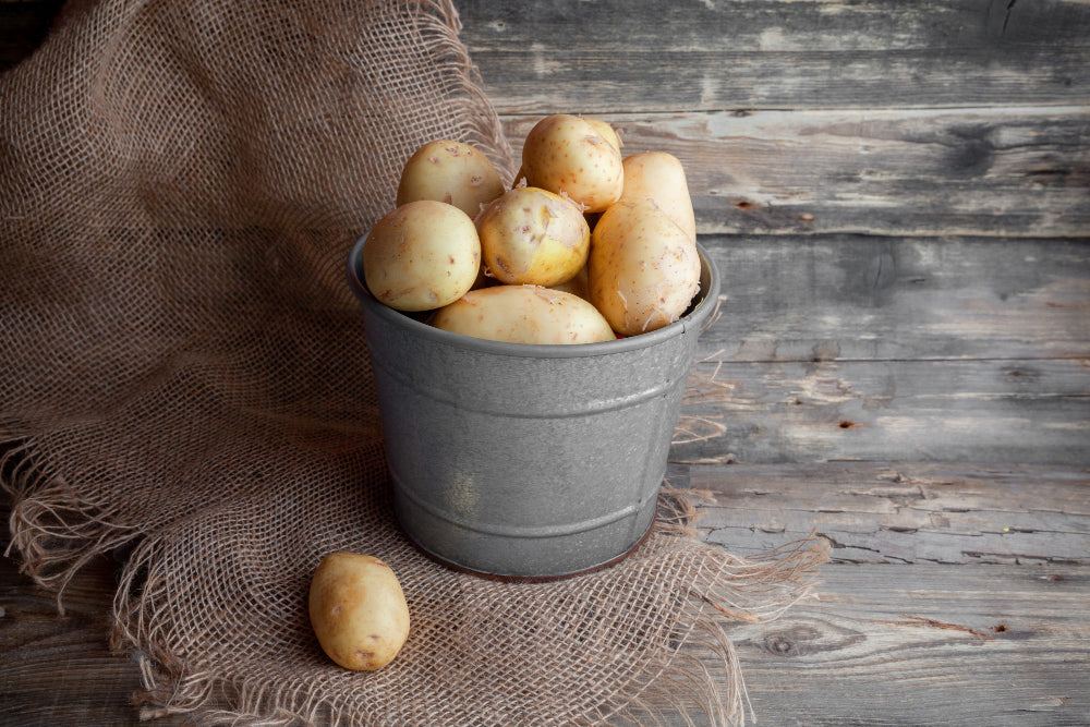 Store Potatoes in a Metal Containe