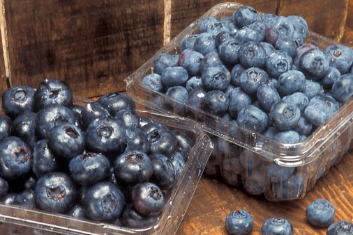 Blueberries May Alleviate Symptoms Of PTSD